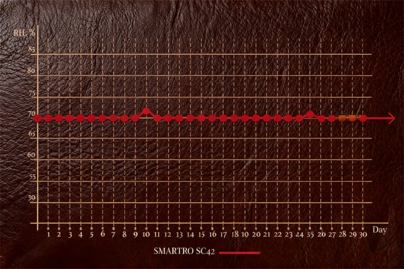 NewAir CC-300H Humidor Review